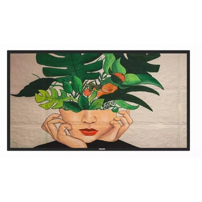 Профессиональный дисплей Philips 55BDL4511D/00