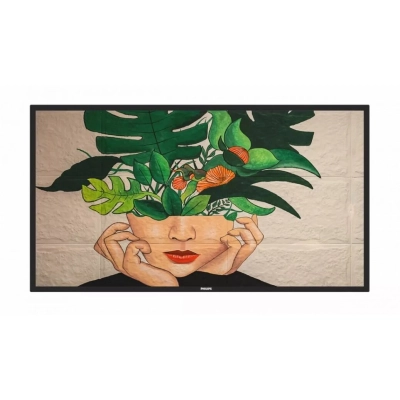 Профессиональный дисплей Philips 55BDL4650D/00