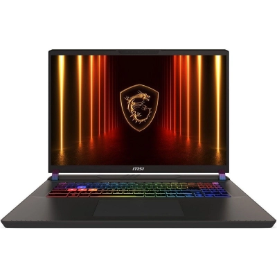 Ноутбук MSI Vector 17 HX AI A2XWIG-063XRU (9S7-17S372-063) Core Ultra 9 275HX 32Gb SSD1Tb GeForce RTX5080 16Gb IPS QHD+ (2560x1600) FreeDOS gr space