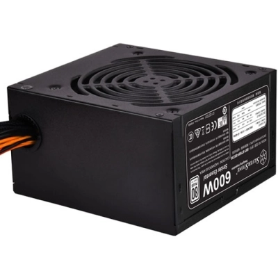 Блок питания Silverstone SST-ST60F-ES230 V1.0 PSU-P217-600W-230V ONLY-ATX-120mmFAN-FIXED C-80PLUS-RoHS-GM