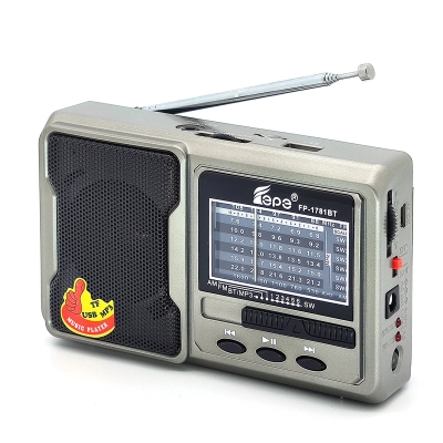 Fepe FP-1781BT р/​п (USB)