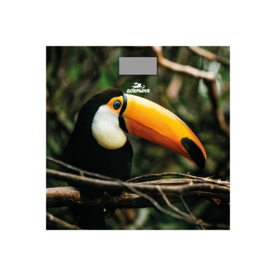 Весы напольные Добрыня DO-3006R Тукан