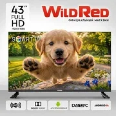 Телевизор 43 WILDRED 43QWS9001 черный 1920x1080, Full HD DLED, 60 Гц, Wi-Fi, Smart TV, Android TV
