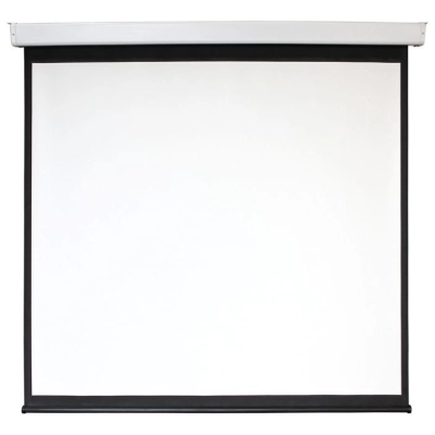 Экран 159x159см Digis Electra-F DSEF-1103 1:1 настенно-потолочный рулонный (моторизованный привод)