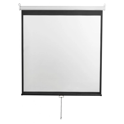 Экран Digis Optimal-D DSOD-16908 196x338см