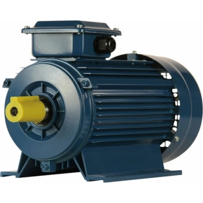 Электродвигатель 5АИ 90 L2 3/​3000 IM 1081 (01.01.213461)