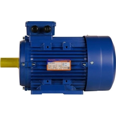 Электродвигатель 5АИ 100 S2 4/​3000 IM 1081 (01.01.213555)