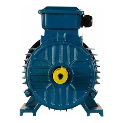 Электродвигатель 5АИ 100 L2 5.5/​3000 IM 1081 (01.01.213567)