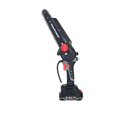 Цепная пила ProfiPower MKGSH-18V