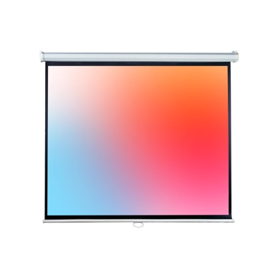 Экран Lumien Eco Picture (LEP-100123) White
