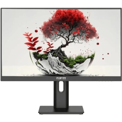 Монитор RDW Computers RDW2401K (2401K/F08B3100V2A1A) черный IPS 4ms HDMI M/M HAS Piv 350cd 178гр/178гр 1920x1080 100Hz VGA DP FHD USB (RUS)