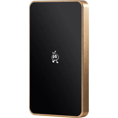 Внешний SSD Smartbuy P5 Pro SBD256P5CU3C 256GB USB 3.2 champagne