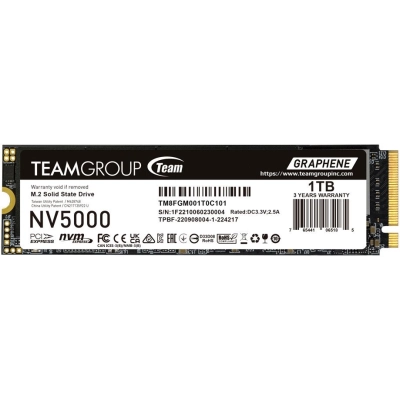 SSD Team Group NV5000 (TM8FGM001T0C101) 1Tb