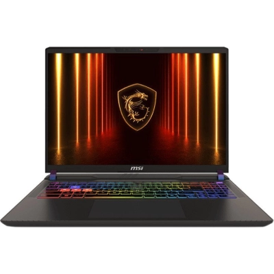 Ноутбук MSI Vector 16 HX AI A2XWJG-665XBY (9S7-15M352-665) Cosmos Gray