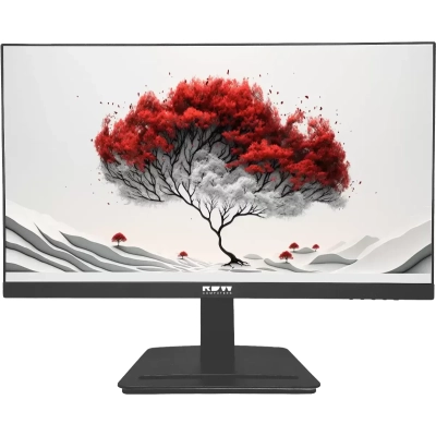Монитор RDW Computers 2401K (2401K/F05B0100V2A1H) черный IPS 4ms HDMI 300cd 178гр/178гр 1920x1080 100Hz VGA DP FHD 4.185кг (RUS)