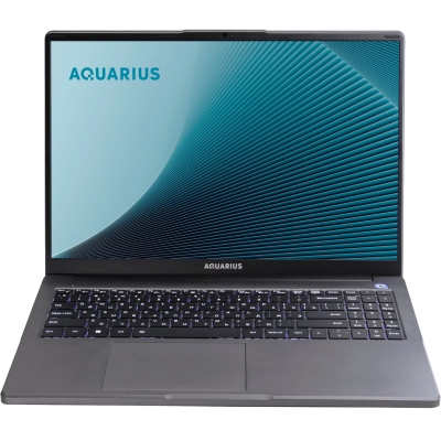 Ноутбук Aquarius Cmp NE356 (NE356153318S125SCN2TMANNN2) Ryzen 5 6600H 8Gb SSD256Gb 16 WUXGA без ОС WiFi BT