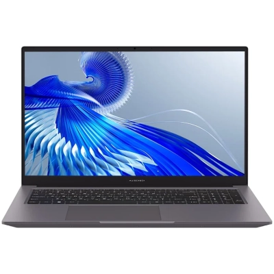 Ноутбук Maibenben P725 P7251SF0LGRE0 17,3 FHD IPS 500N/​i5-12450H/​16Gb/​512Gb SSD/​UMA/​Linux/​Grey