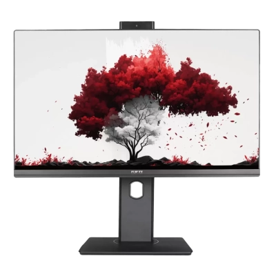 Монитор RDW Computers RDW2402K/​F00B3 черный