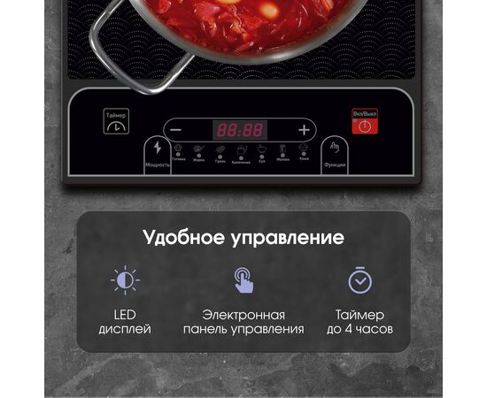  Настольная плита Zigmund & Shtain ZIP-556 