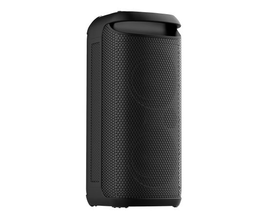  Портативная колонка SOUNDMAX SM-MS4209 черный 