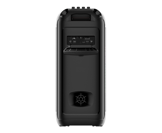  Портативная колонка SOUNDMAX SM-MS4209 черный 